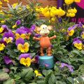 2015-0502-02 Flowers at Udderbelly