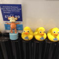 2015-0503-01 Ducks at Grand Designs
