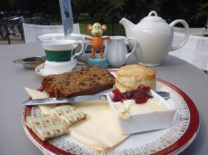 2015-0608-05 Bute Park afternoon tea