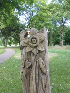 2015-0608-06 Bute Park daffodil