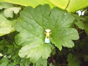 2015-0610-01 Bute Park leaf bed