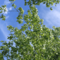2015-0628-07 Sunbathing view