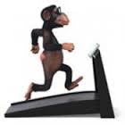 International Clinic