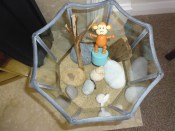 2015-0704-03 Cromer Terrarium