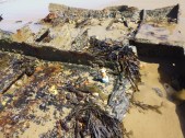 2015-0704-09 Cromer Shipwreck