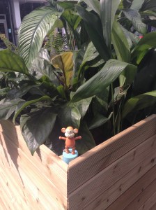 2015-0801-01 Jungle at Stratford International