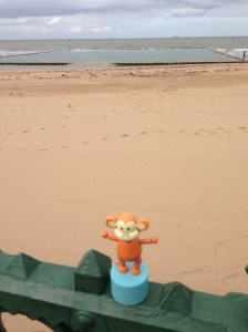 2015-0905-03 Tidal pool