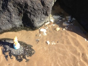 2015-0927-02 Shell pool