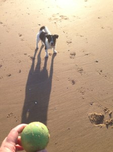 2015-0930-02 New friend