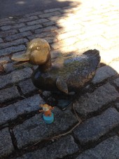 2015-10-05 Boston duck