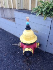 2015-10-13 Boston fire hydrant