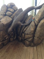 2015-10-14 Aquarium seal