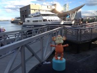 2015-10-21 Boston whale watching