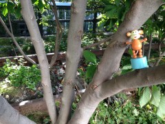 2015-10-22 New York highline