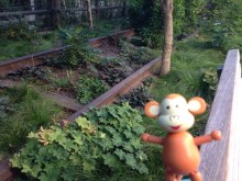 2015-10-23 New York highline