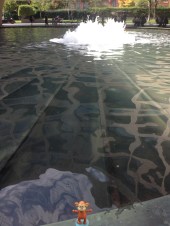 2015-10-38 Washington pond