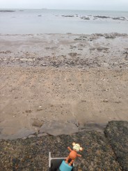 2015-1108 Low tide