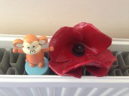 2015-1108 Remembrance Sunday