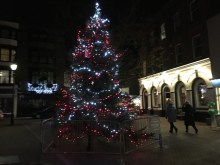 2015-1128-02 Christmas tree