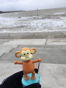 2015-1129-01 Windy seas