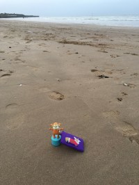 2015-1227-01 Walking the dog.jpg