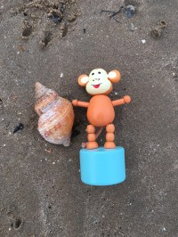 2016-0102-01 Shell.jpg