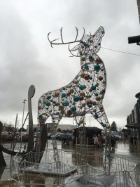 2016-0103 Reindeer.jpg