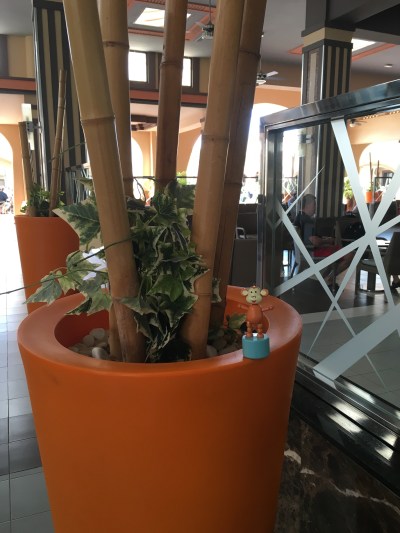 2016-0114-02 Orange plant pots.jpg