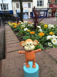 2016-0130-02 Ashford flowers.jpg