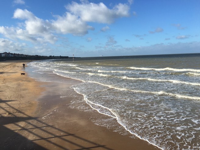 2016-0207-01 Sunny day.jpg