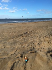 2016-0207-03 Sand mound.jpg