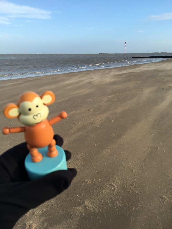 2016-0208-01 Morning breeze.jpg