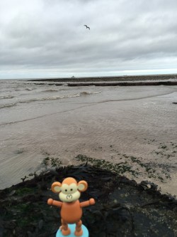 2016-0221-01 Navy ship.jpg