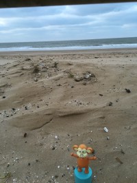 2016-0228-03 Sandy beach.jpg