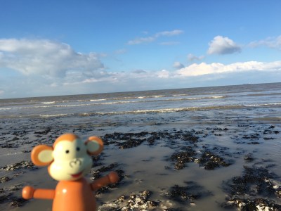 2016-0305-01 Sunny day.jpg