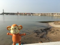 2016-0312-02 Harbour.jpg