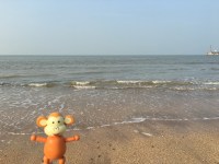 2016-0312-04 Time for a paddle.jpg