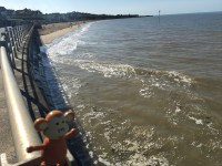 2016-0325-01 Westbrook Bay.jpg