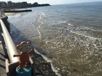 2016-0325-02 St Mildreds Bay.jpg