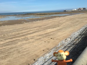 2016-0403-01 Summer has arrived.jpg