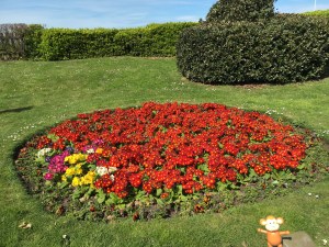 2016-0413-01 Westgate remembrance garden.jpg