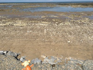 2016-0414-01 Space beach.jpg