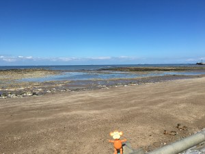 2016-0417-01 Sunny day.jpg