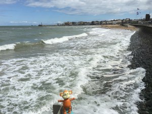 2016-0423-01 Big waves.jpg