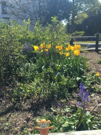 2016-0430-02 Broadstairs.jpg