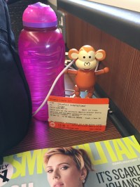 2016-0520 Train journey.jpg