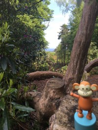 2016-0522-01 Sheringham Park.jpg