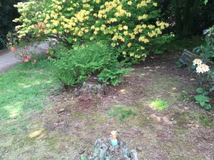 2016-0522-02 Sheringham Park.jpg