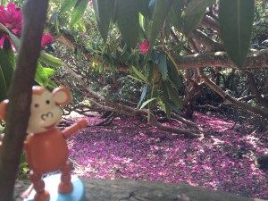 2016-0522-03 Sheringham Park.jpg