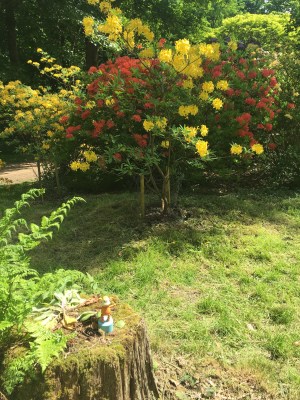 2016-0522-04 Sheringham Park.jpg